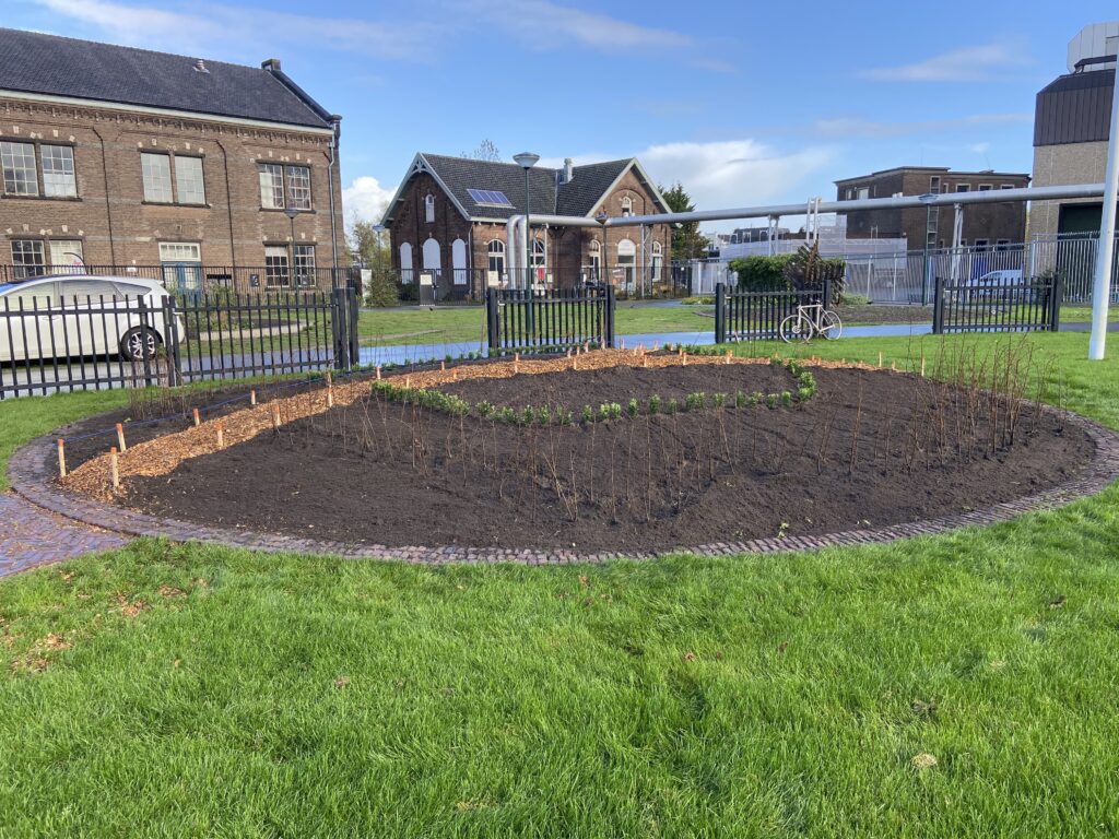 Poffertuin vlak na de aanleg